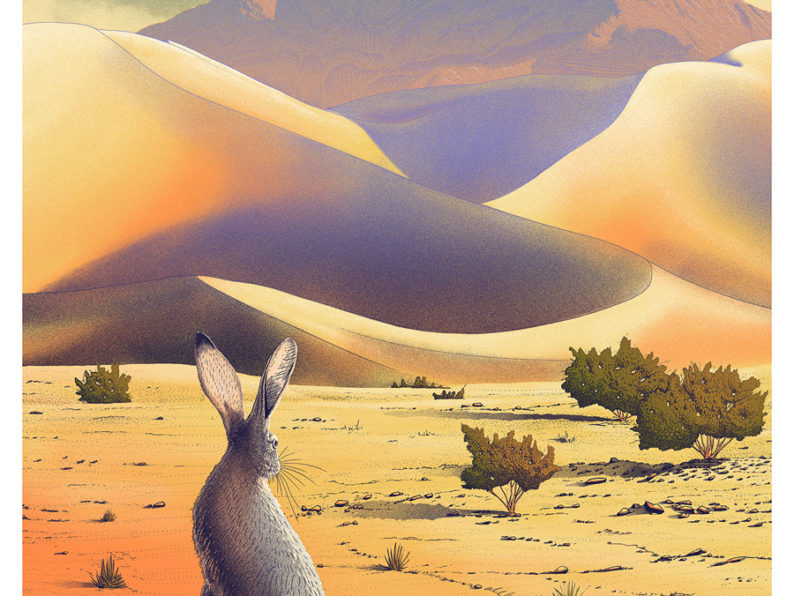 Death Valley 18″ x 24″
